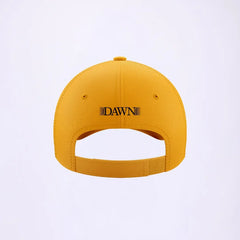 Peshawar Zalmi PSL X Official Home Cap